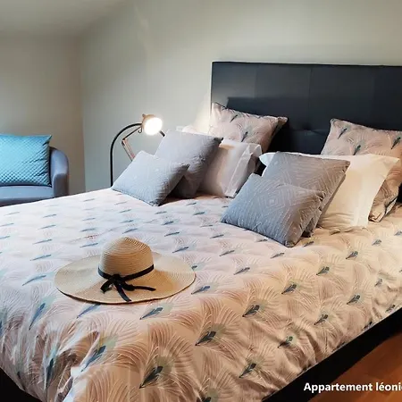 Apartment Spacieux Duplex Confort A 200m Des Thermes De Dans Les Vosges *