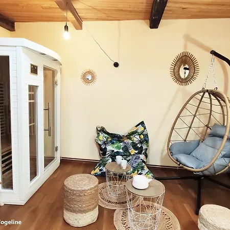 Apartment Spacieux Duplex Confort A 200m Des Thermes De Dans Les Vosges *