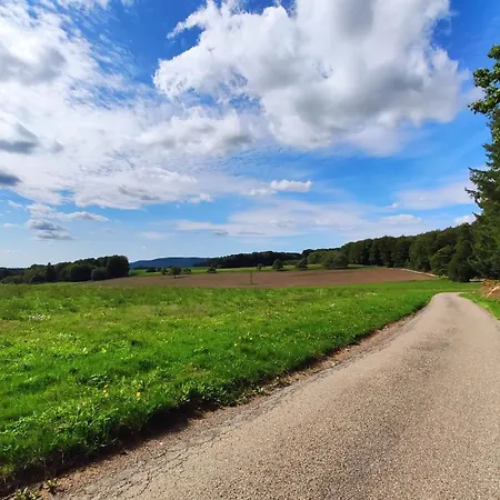Spacieux Duplex Confort A 200m Des Thermes De Dans Les Vosges Bains-les-Bains